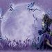 Profile Picture of Jeannette Gralnick (@purplemoonvt) on Pinterest