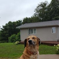 Profile Picture of Kim Rasnick Voltl (@kim-rasnick-voltl) on Quora