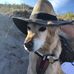 Profile Picture of Martin Berlin (@martin.berlin.7524879) on Facebook