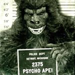 Profile Picture of Joe Moffett (@blunted_joker) on Instagram