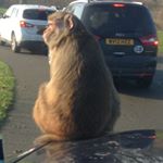 Profile Picture of Theodore Walter (@theodorewalter234) on Instagram