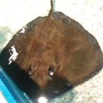 Profile Picture of Jacob Lehman (@lehman8955) on Instagram