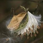 Profile Picture of Ruchi Dave (@ruchigdave) on Instagram