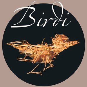 Profile Picture of Proyecto Birdi (@glenn.caulfield) on Myspace