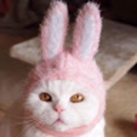 Profile Picture of Irene Zhang (@zhangyunyiirene) on Poshmark