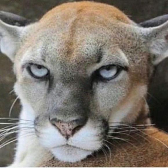 Profile Picture of Filbert Wilson (@jwc2tha3) on Poshmark