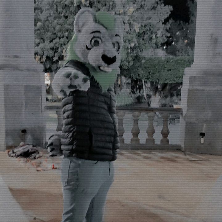 Profile Picture of Kyle Lion (@the_kyle_lion) on Tiktok