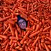 Profile Picture of Matthew Freeborn (@mattjfreeborn) on Facebook