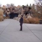 Profile Picture of Jan Tepper (@jgilmantepper) on Pinterest