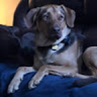 Profile Picture of Cody Conatser (@cody-conatser-1) on Quora