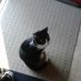 Profile Picture of Mike Mattson (@mike.mattson.146) on Facebook