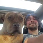 Profile Picture of kevin dombrowski (@dombrowski_kevin) on Instagram