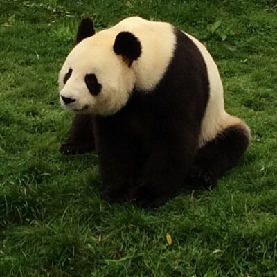 Profile Picture of Chris Charbonnier (@clermont_c) on Twitter