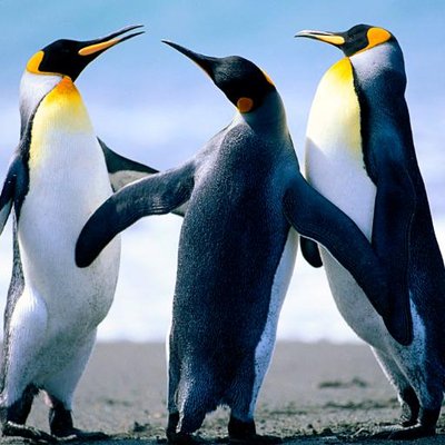 Profile Picture of Darrel Blair (@oldmand1969) on Twitter