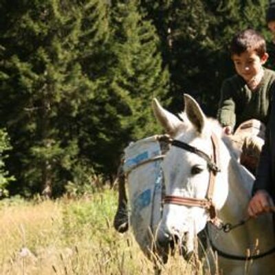 Profile Picture of Lars Lindqvist (@lindqvist_lars) on Twitter