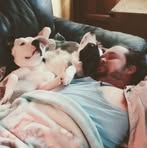 Profile Picture of Andrew Breding (@andrew.breding.2025) on Facebook