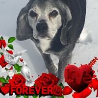 Profile Picture of Cheryl Hess Collins (@cheryl-hess-collins) on Quora