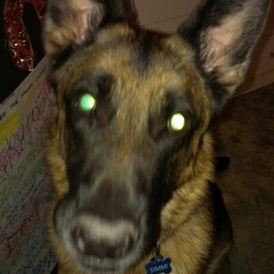 Profile Picture of Kevin Crimmins (@CasperKev) on Twitter
