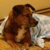 Profile Picture of Chaz Phillips (@@chazphillips0) on Tiktok