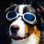 Profile Picture of Mike Cobb (@ss51le) on Instagram