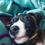 Profile Picture of Audrey Gillespie (@audrey.gillespie.39545) on Instagram