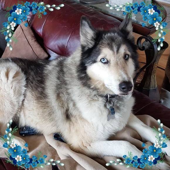 Profile Picture of Chris Rawlins (@christianesnow) on Poshmark