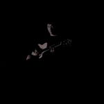 Profile Picture of Kenji Ota (@kenjiotaok) on Instagram