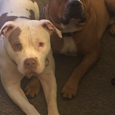 Profile Picture of Mark Welby (@Markwelby2) on Twitter