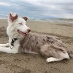 Profile Picture of Kaoru (@bijoux.430) on Instagram