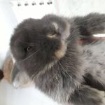 Profile Picture of jacqueline siracusa (@__psico.patica__) on Instagram