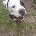 Profile Picture of Kevin Martens (@kevin.martens.560272) on Instagram