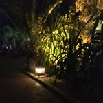 Profile Picture of Chantal Maudhuit (@chantalmaudhuit) on Instagram