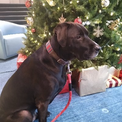 Profile Picture of Keith Croy (@KeithCroy1) on Twitter