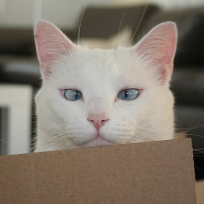 Profile Picture of Marcel Hubschmid (@Advohub1) on Twitter