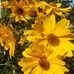Profile Picture of Marilyn Reeves (@Marilyn-Reeves) on Facebook