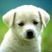 Profile Picture of Sybil Terry (@sybil.terry.315) on Facebook