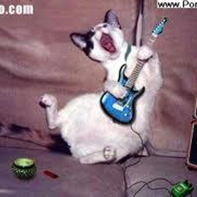 Profile Picture of Valentin Diaz (@valentindiaz9) on Twitter