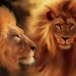Profile Picture of Naveen (@vijayanagaram_naveen_official) on Instagram