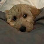 Profile Picture of Jack (@jackteefey) on Instagram