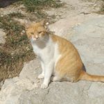 Profile Picture of Miriam pall Mari patricia Mari (@miriam_estrella_bubi) on Instagram