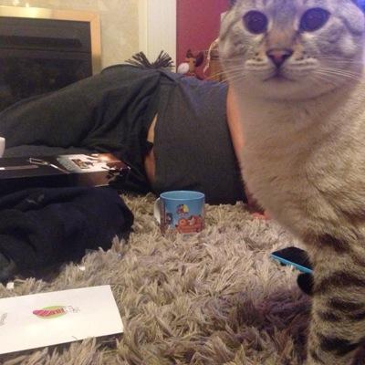 Profile Picture of Aaron Leigh Boyes (@BoyesAaron) on Twitter