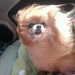 Profile Picture of Robin Sauer (@robinsauer) on Pinterest