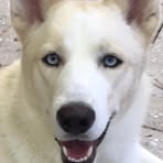 Profile Picture of Marc Sarnoff (@marc.sarnoff.33) on Facebook