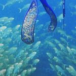 James Coleman - Instagram Profile Picture of James Coleman (@underwater_coleman) on Instagram