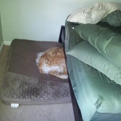 Profile Picture of Kevin McTigue (@kevmc03) on Twitter