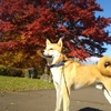 Profile Picture of n nishimoto (@@nnishimoto) on Tiktok