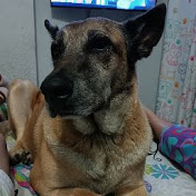 Profile Picture of Leo Naranjo (@leonaranjo8028) on Youtube