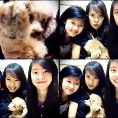 Profile Picture of Sharon Zheng (@sharonzheng_sk) on Twitter