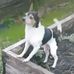 Profile Picture of Darlene Whitesitt Link (@darlene.w.link) on Facebook