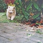 Profile Picture of chris hollier (@chris.hollier) on Instagram